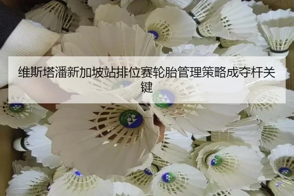 维斯塔潘新加坡站排位赛轮胎管理策略成夺杆关键